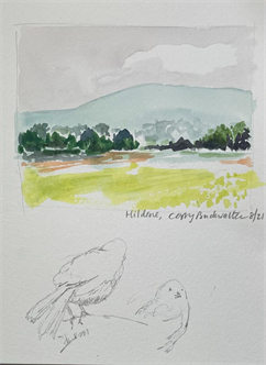 Nature Sketchbook: Art on the Trails (in person)