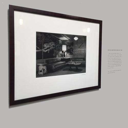 Black and White Film Photography III: The Exhibition Print