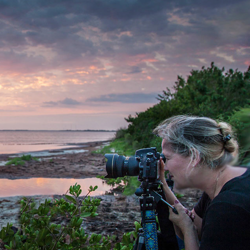 Photographing the Natural Landscape