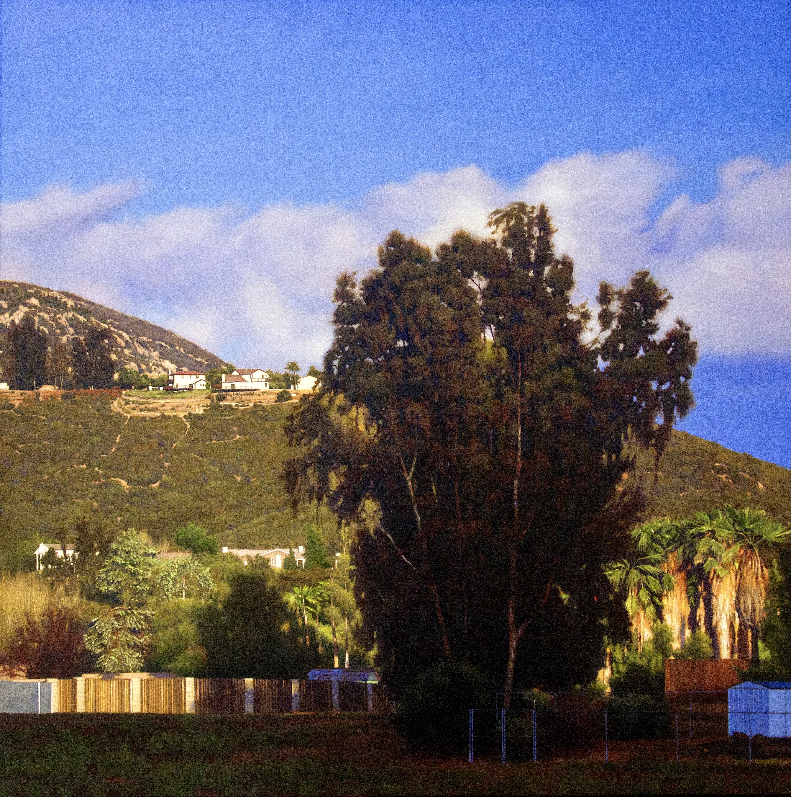 416-Afternoon Oil Landscape