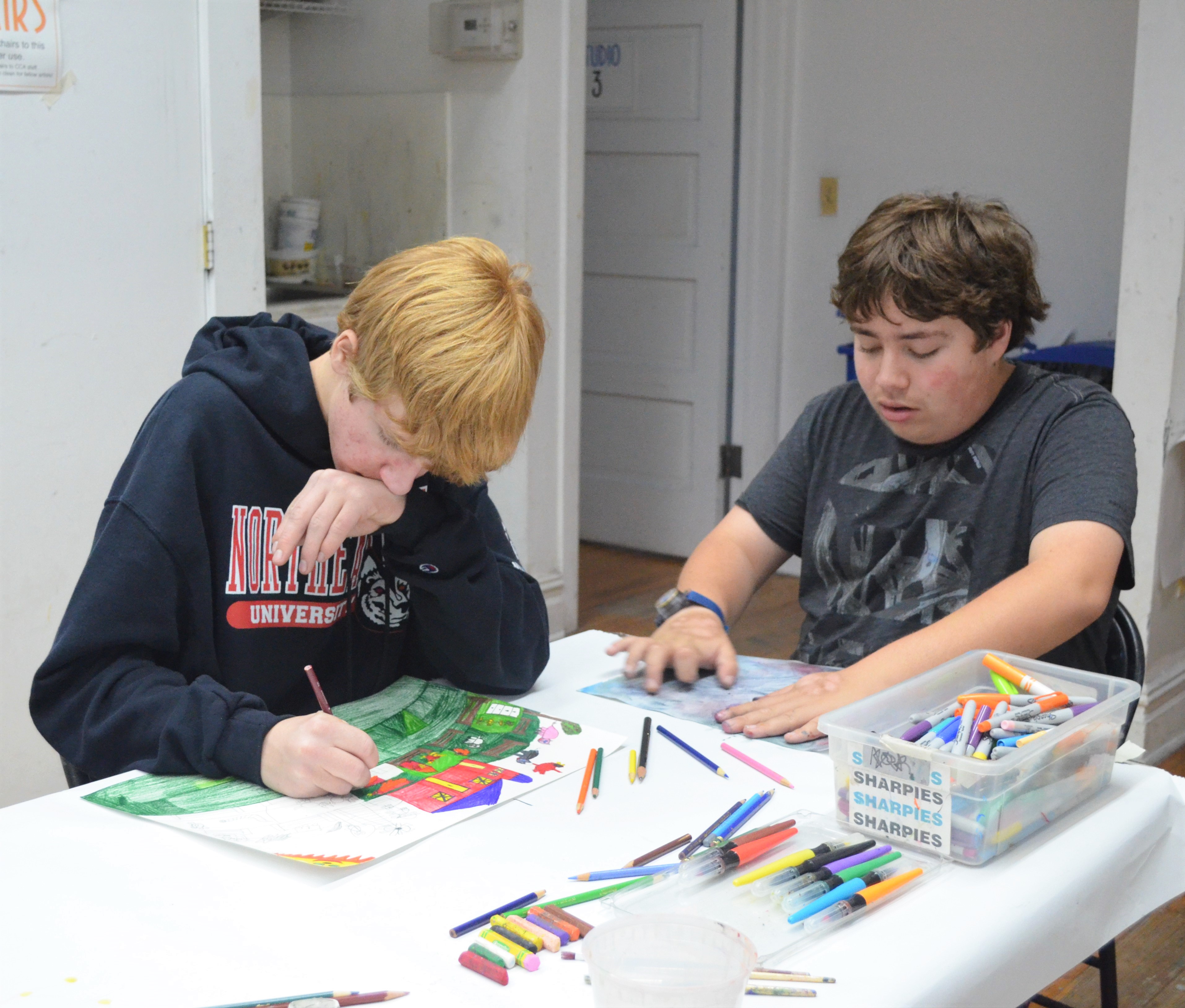 C201-Art for Kids with ASD and Other Special Needs Ages 12-16