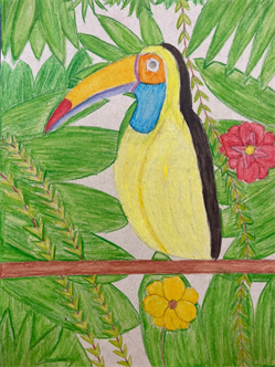 Drawing Inspiration from Animals! Ages 8-12