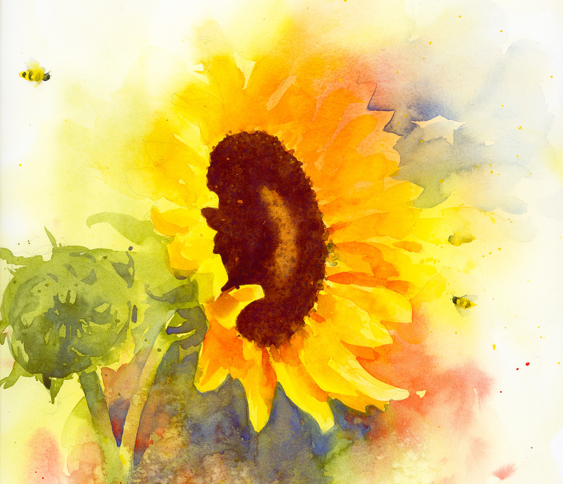 321-Watercolor Sunflowers
