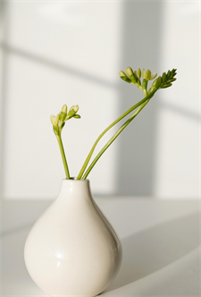 Single Flower Vase Ages 14+