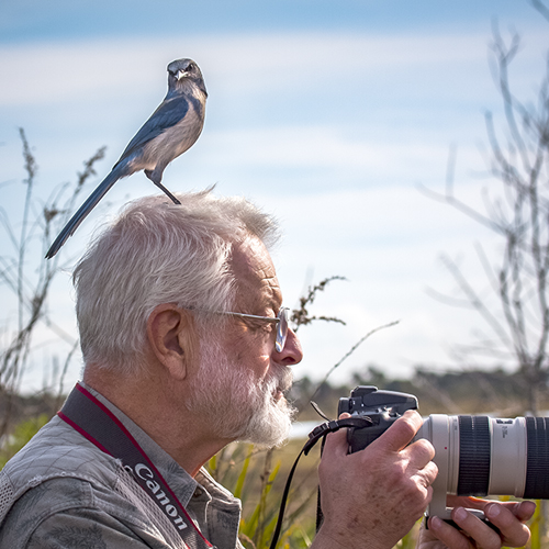 Scrub Jay Photo Workshop