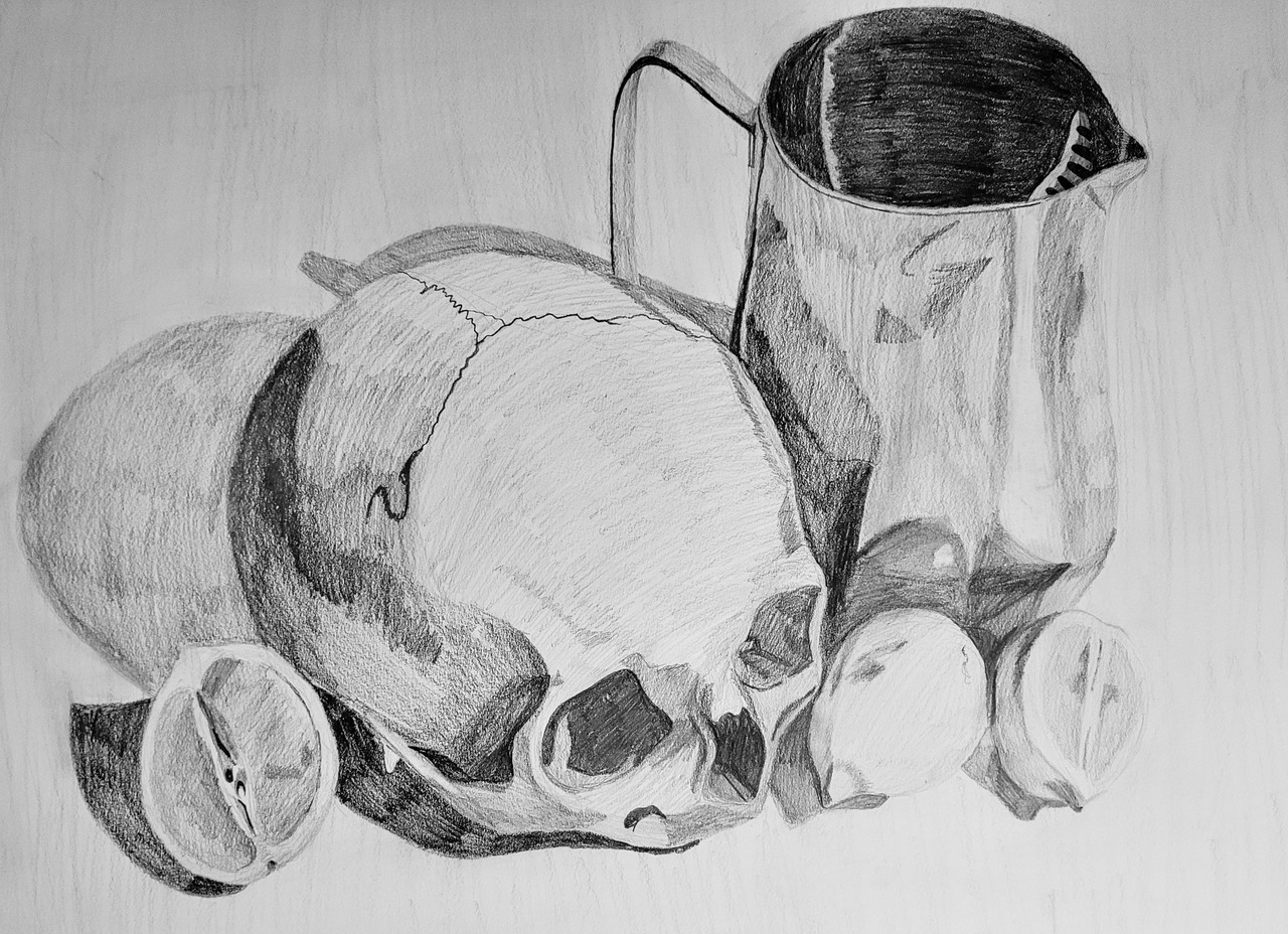 240-Still-Life Drawing