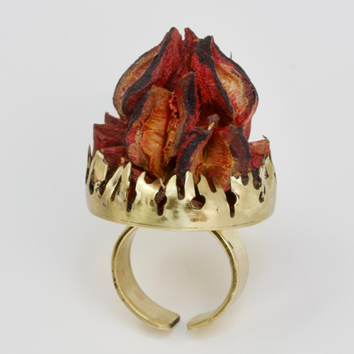 Silver Ring Design