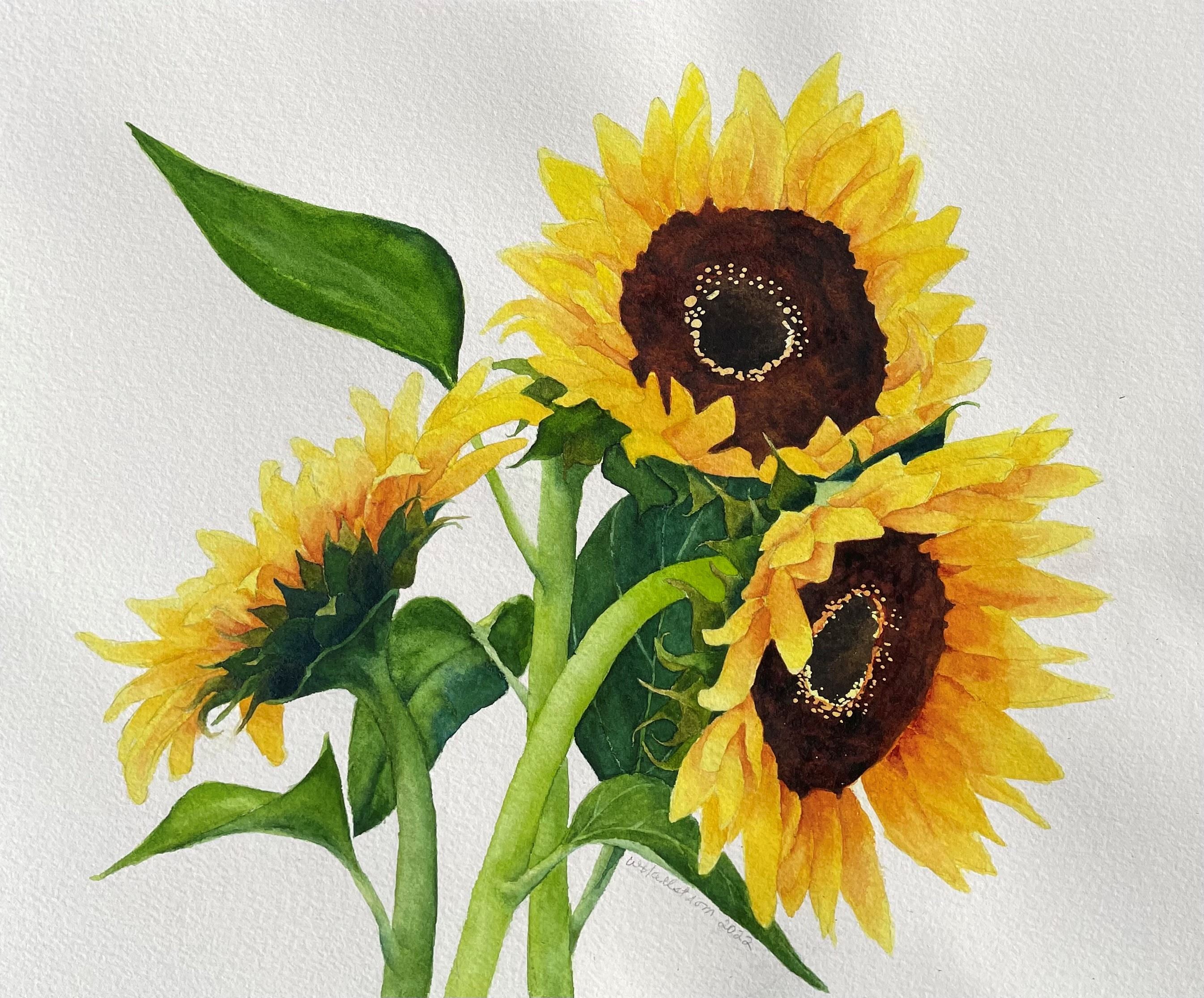 428-Exploring Watercolor