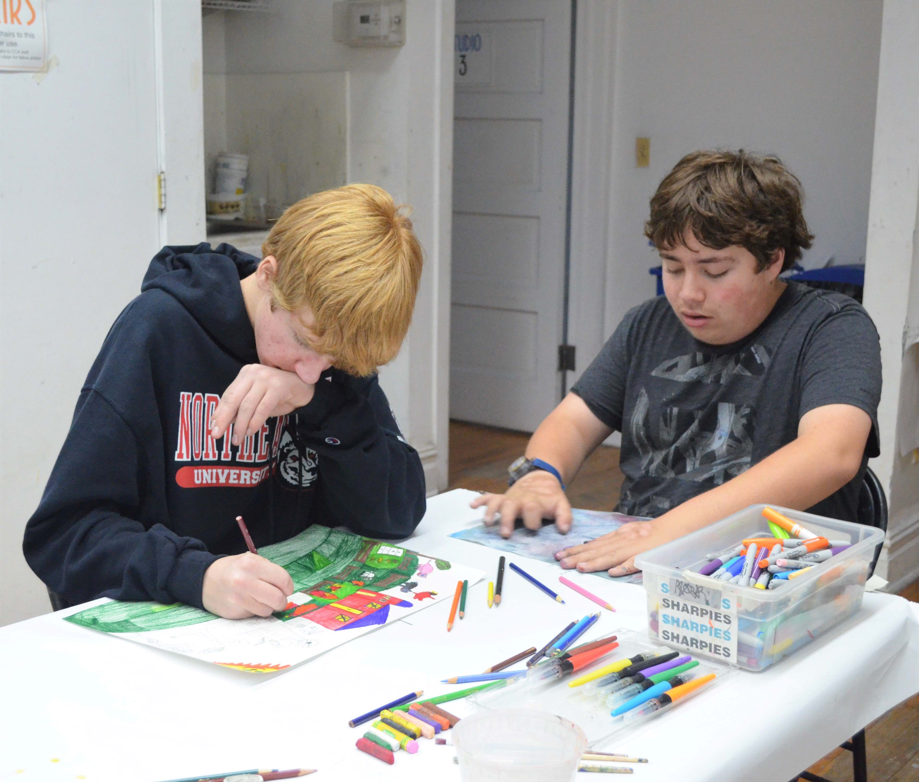 C401-Art for Kids with ASD and Other Special Needs Ages 12-16