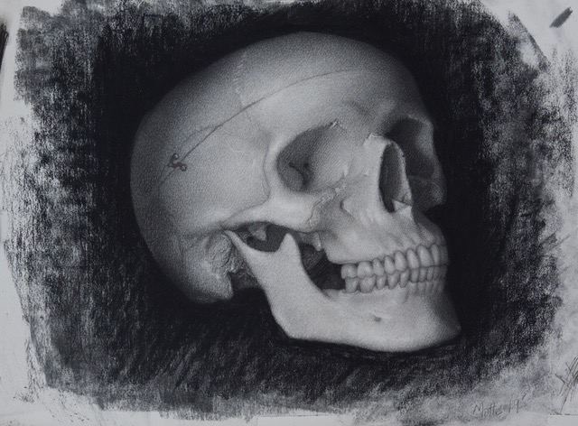 Drawing II: Expanding Your Skills (Winter Garden)