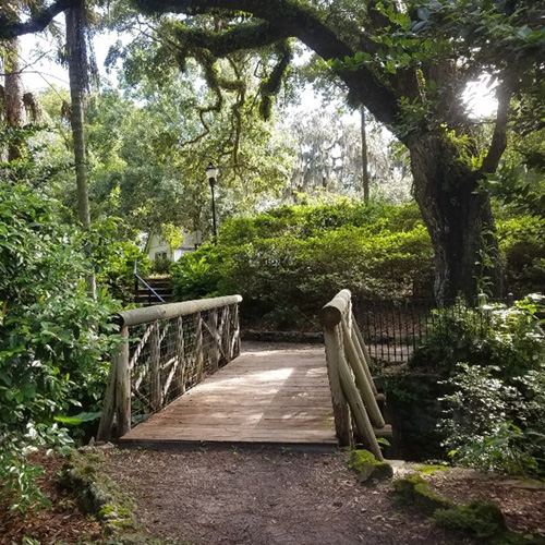 Compositional Skills in Photography Workshop 3/4