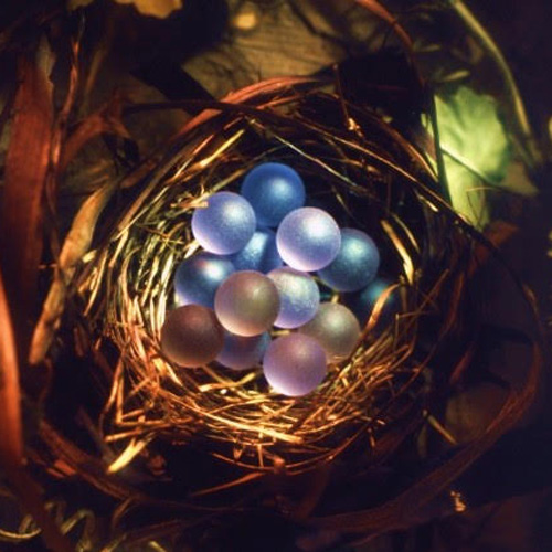 The Art of Painting With Light Workshop 2/13 and 2/20