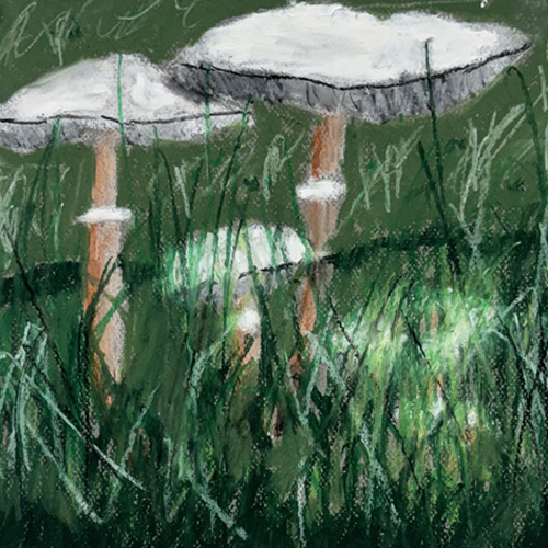 Brush to Canvas (ages 8-12)