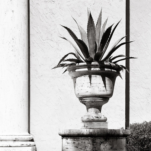 Black and White Film I: Introduction to the Darkroom (Mon)