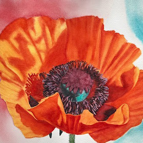 Watercolor Botanicals